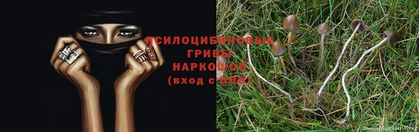 мдпв Куйбышев