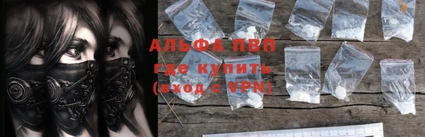 СК Кукмор