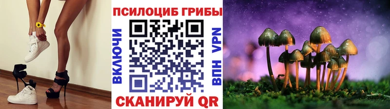 ссылка на мегу вход  Заречный  Галлюциногенные грибы мухоморы  где найти наркотики 