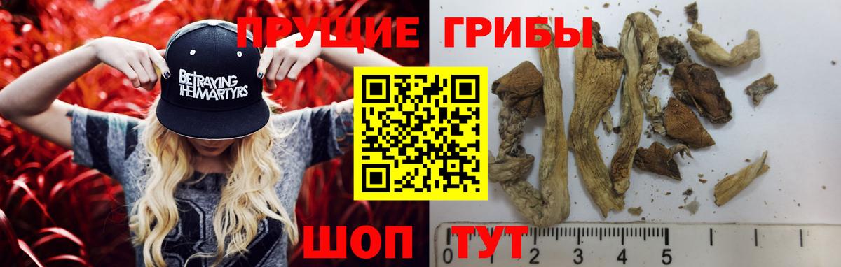 Кокаин Заречный